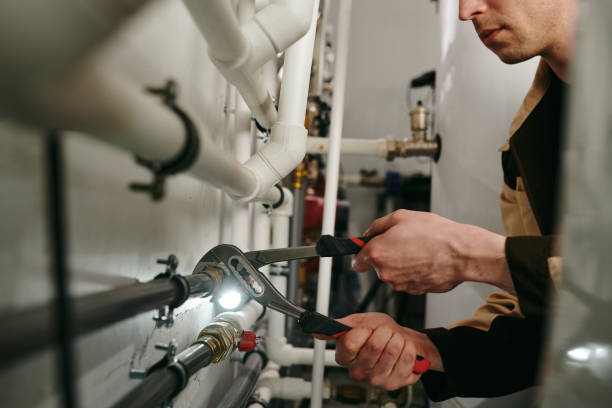 Best Clogged Drain Plumber  in Litchfield, MN