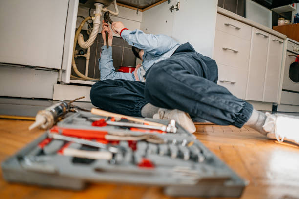 Best Septic Systems  in Litchfield, MN