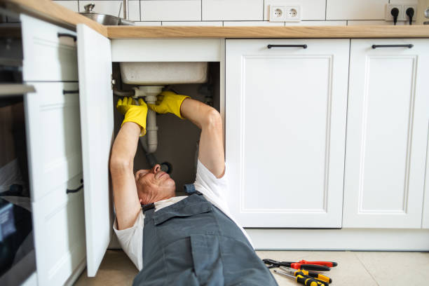 Best Pipe Repair Near Me  in Litchfield, MN