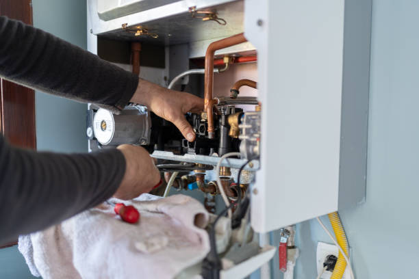 Best Emergency Plumber  in Litchfield, MN