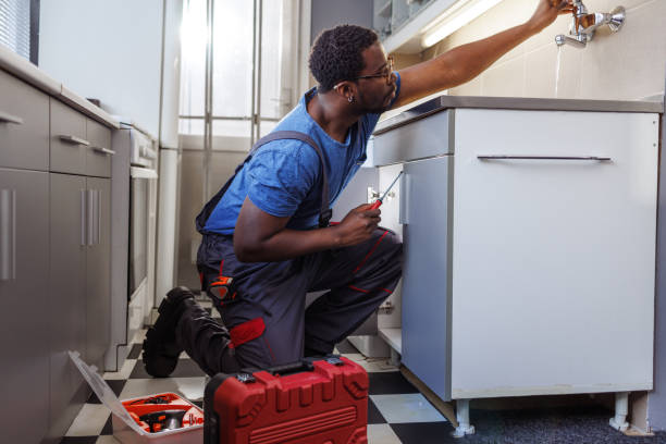 Best Sprinkler Systems  in Litchfield, MN